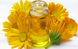 Calendula Creme