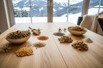 aminosaeureprofil veganes hundefutter 202609060705