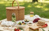 basics veganes picknick