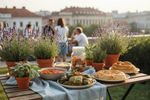 belgrad vegan 202609142109