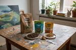 benevo hundefutter test 202608251605