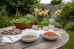 duerfen hunde linsen essen 202608310705