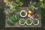 heimische superfoods baerlauch 202607101149