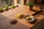 heimische superfoods leinsamen 202607101451