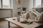 hochsensible menschen vegan 202607191450