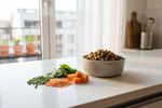 insektenprotein hundefutter vegan 202609080707