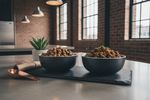 knight studie veganes hundefutter 202609091609