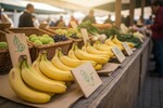 sind bananen vegan 202607271944