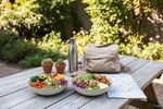 vegan reise 202609291751
