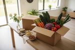 vegan versand 202610021249