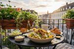 vegane endivien untereinander 202609242003