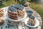 vegane heidelbeertorte 202606031404