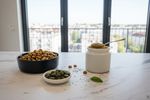vegane hundeernaehrung kostenvergleich fleisch 202608211607