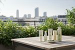 vegane kosmetik dm 202605200709