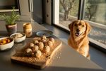 vegane leckerlis hund 202608130704