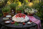 vegane pavlova erdbeeren 202606110506