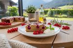 veganer johannisbeerkuchen 202605222005