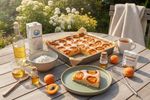 veganer marillenblechkuchen 202606091606