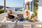 veganer urlaub mit hund 202609211104