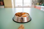 veganes barf hund 202609141605