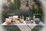 veganes camping guide 202605310750