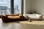 veganes hundebett 202609160704