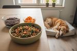 veganes hundefutter bei niereninsuffizienz 202609171607