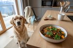 veganes hundefutter tieraerztekammer 202609070707