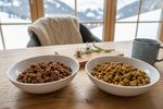 veganes katzenfutter nassfutter trockenfutter 202609300714
