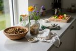 veganes trockenfutter hund 202608110001