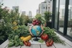 warum umwelt 202607261148