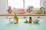 wie gesund ist stevia 202608312005