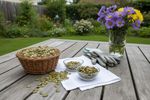 wie gesund sind kuerbiskerne 202608241407