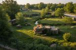 zoos 202607090434