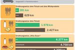 grafikTreibhauseffekt_Ernaehrungsweisen